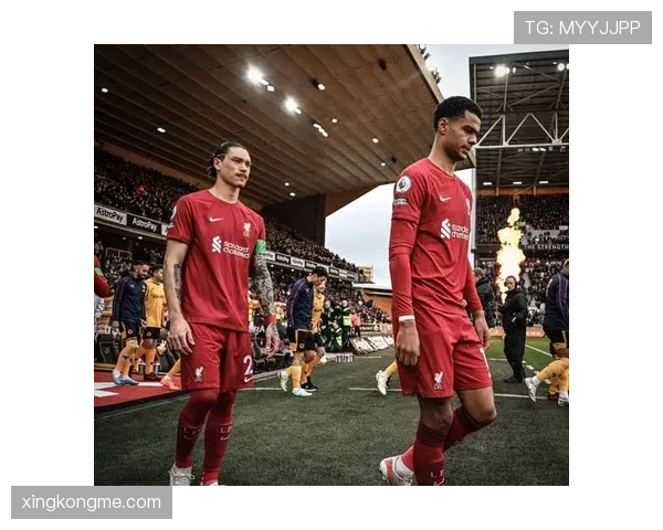 努涅斯亿元身价与实际表现匹配度分析