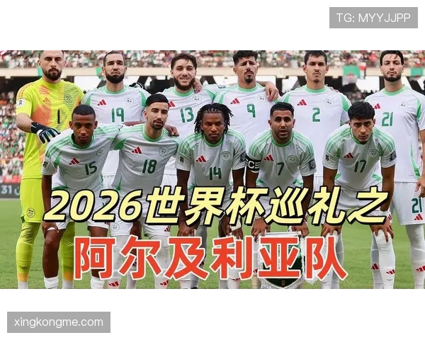 阿尔及利亚冲击2026世界杯:出线前景与阵容预测